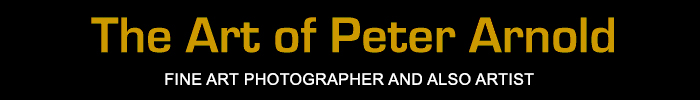 The Art of Peter Arnold